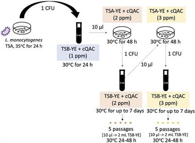 Adaptation to a Commercial Quaternary Ammonium Compound Sanitizer Leads to Cross-Resistance to Select Antibiotics in Listeria monocytogenes Isolated From Fresh Produce Environments